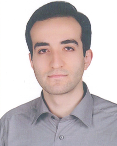 مرتضی مجرد